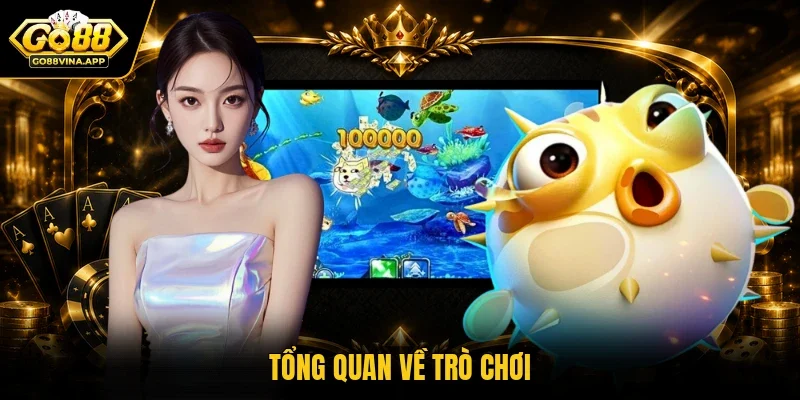 Tổng quan về trò chơi